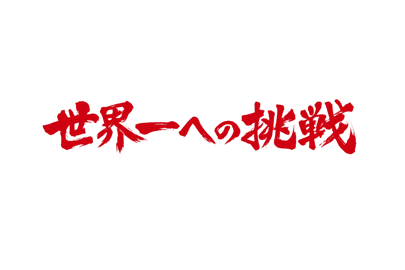 世界一への挑戦